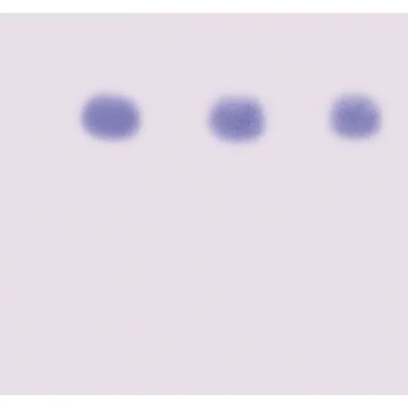 AIDS Kit II: Simulazione del Rilevamento dell'HIV tramite Western Blot