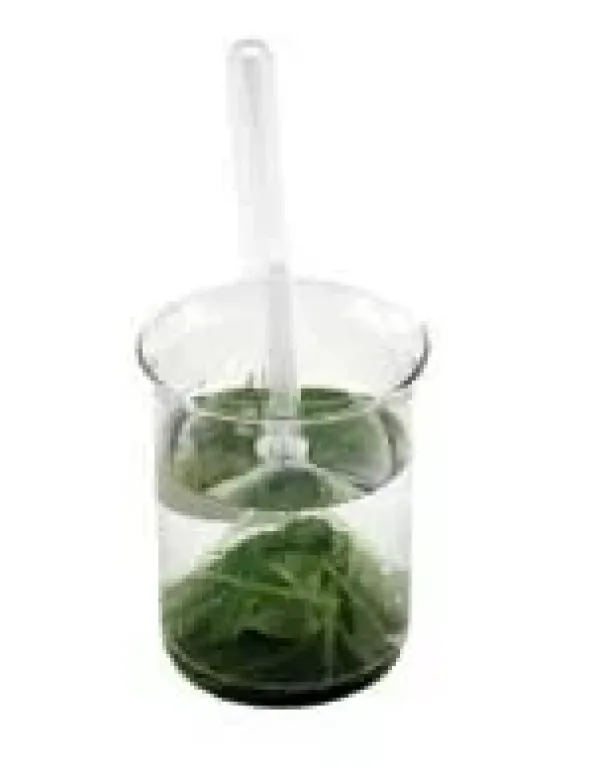 Apparecchio dimostrazione produzione ossigeno piante acquatiche