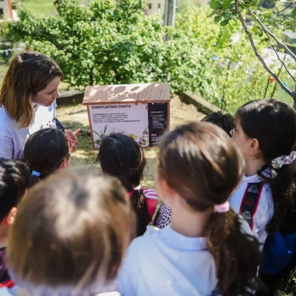 3Bee - In the School of Biodiversity - English Version