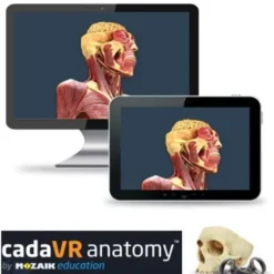 CadaVR Anatomy PERSONAL - Licenza STUDENT 1 anno ING. - (MIN. 10)