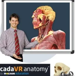 CadaVR Anatomy PROFESSIONAL - Licenza TEACHER - 3 anni ING.