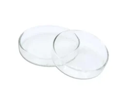 Capsule Petri in plastica 100 mm (confezione 10 pezzi)