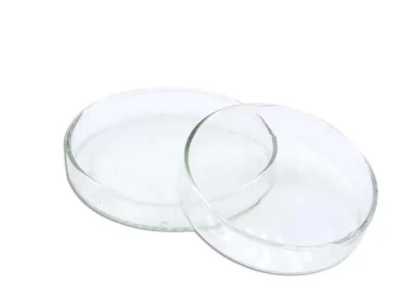 Capsule Petri in plastica 100 mm (confezione 10 pezzi)