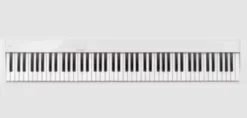 CASIO PX-S1100WE