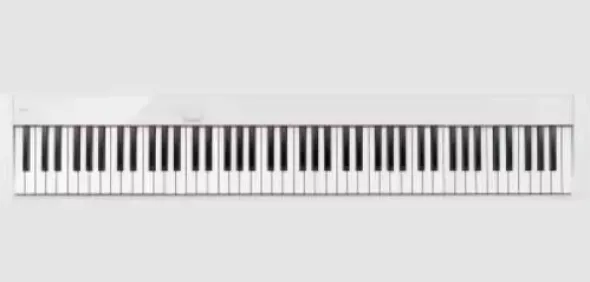 CASIO PX-S1100WE