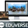 ClassVR - Licenza EDUVERSE - Sottoscrizione contenuti per 5 anni