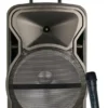 Diffusore amplificato con radiomicrofono 600W PMPO