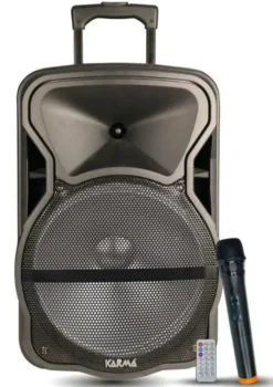 Diffusore amplificato con radiomicrofono 600W PMPO