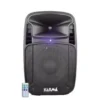 Diffusore amplificato 170W
