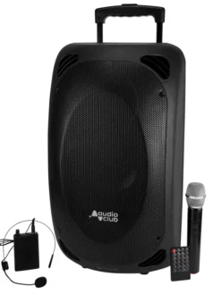 Diffusore amplificato 800W Trolley con radiomicrofono palmare e bodypack USB/BT/MP3/FM
