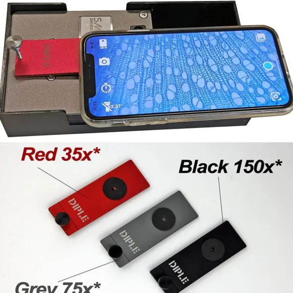 DIPLE Red & Grey & Black - Standard