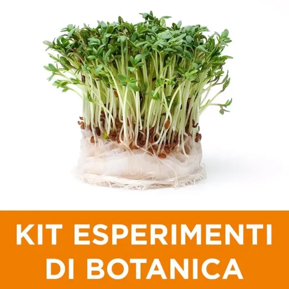 Kit di esperimenti di botanica