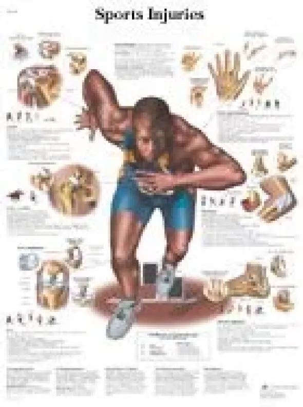 Lesioni in seguito ad attività sportiva - tavola 50x67 cm