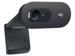 Logitech C505 - Webcam HD 720p con microfono - USB