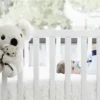 Mamma Koala