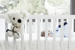 Mamma Koala