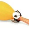 Maraca tambourine