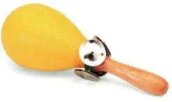 Maraca tambourine