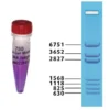 Marcatore Standard di DNA