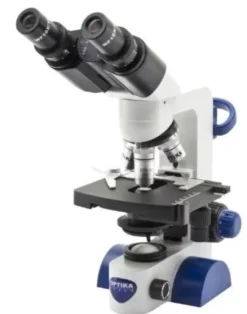 Microscopio binoculare biologico, 600x