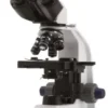 Microscopio biologico binoculare 600x