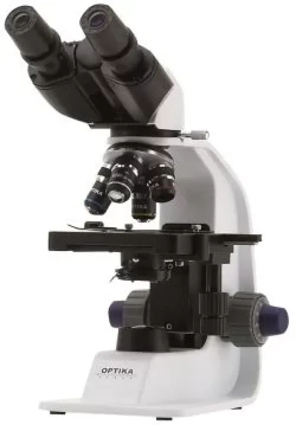 Microscopio biologico binoculare 600x