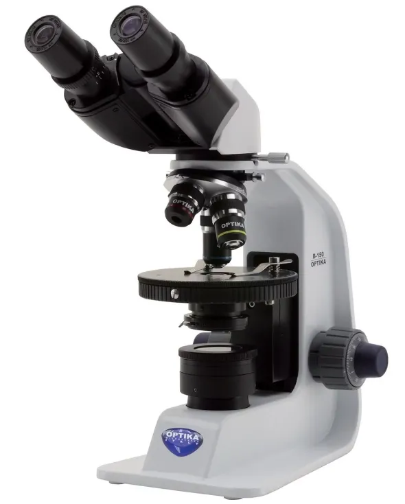 Microscopio polarizzato binoculare, 400x