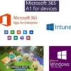 Microsoft 365 A1 Licenza 6 anni Edu per 1 Device/1 Utente