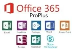Microsoft 365 App for enterprise (Office 365 Pro Plus) - Licenza 1 anno OVS-ES