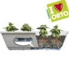 Ortovaso 67x37xh20h cm