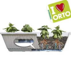Ortovaso 67x37xh20h cm
