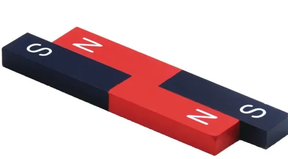 PASCO Magnete a Barra Verniciato (Coppia) SE-7593