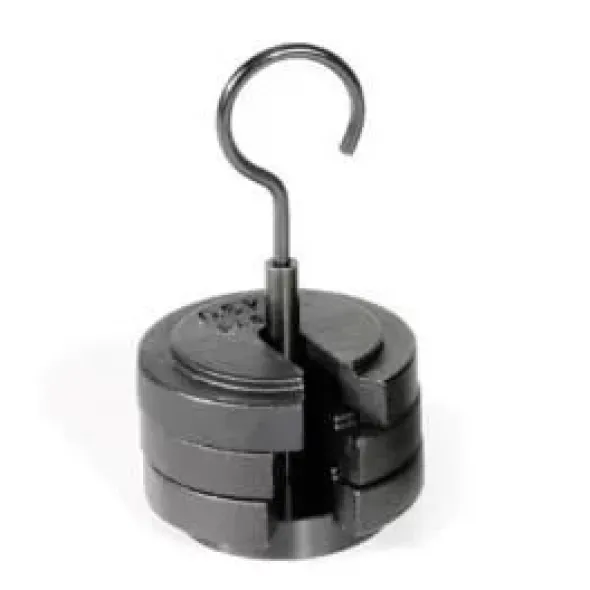 PASCO Set di masse asolate pesanti ME-7589