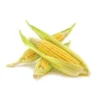 Rilevamento di organismi geneticamente modificati (OGM)