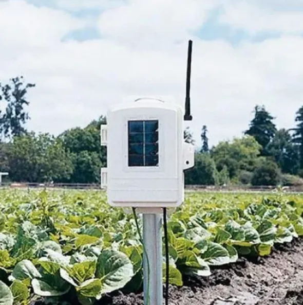 Stazione wireless umidità/temperatura terreno