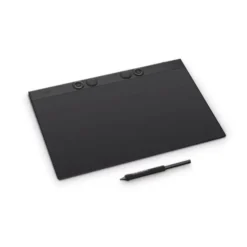 WACOM INTUOS PRO PEN TABLET LARGE - Tavoletta grafica con Penna