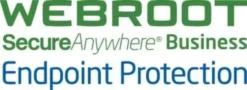 WEBROOT 2 ANNI LICENZA FASCIA 10-99
